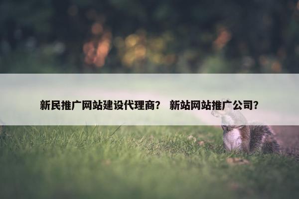 新民推广网站建设代理商？ 新站网站推广公司？