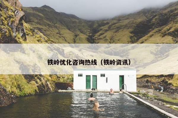 铁岭优化咨询热线（铁岭资讯）