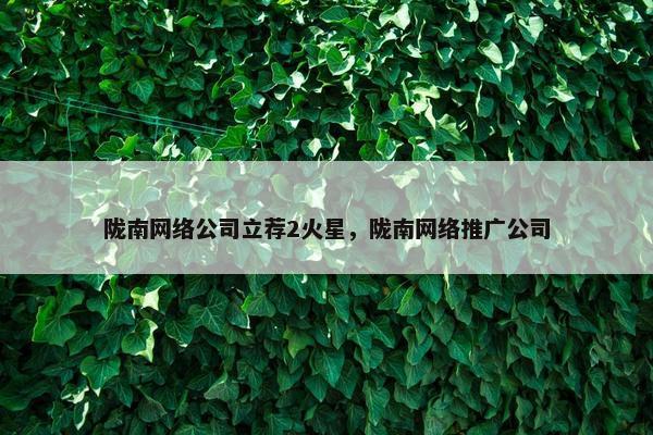 陇南网络公司立荐2火星，陇南网络推广公司