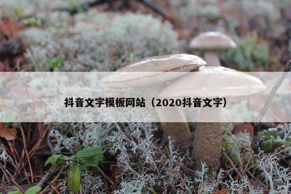 抖音文字模板网站（2020抖音文字）