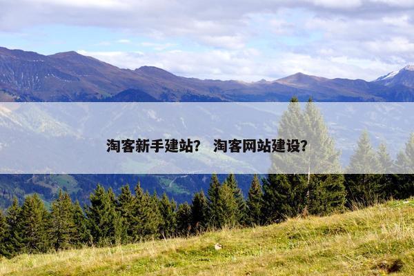 淘客新手建站？ 淘客网站建设？