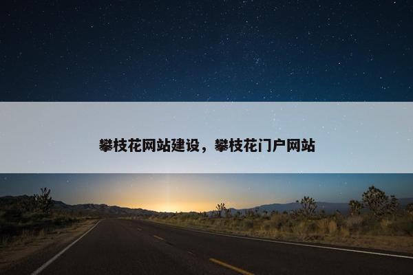 攀枝花网站建设，攀枝花门户网站