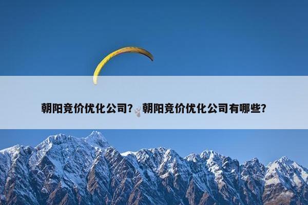 朝阳竞价优化公司？ 朝阳竞价优化公司有哪些？