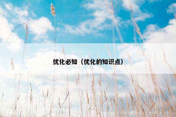 优化必知（优化的知识点）