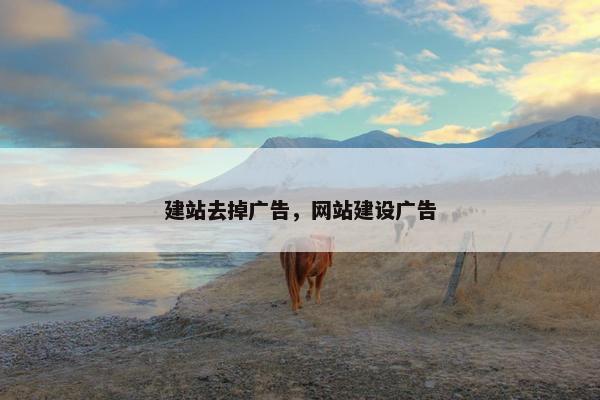 建站去掉广告，网站建设广告