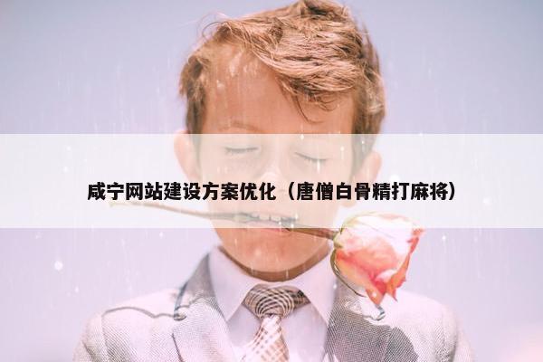 咸宁网站建设方案优化（唐僧白骨精打麻将）