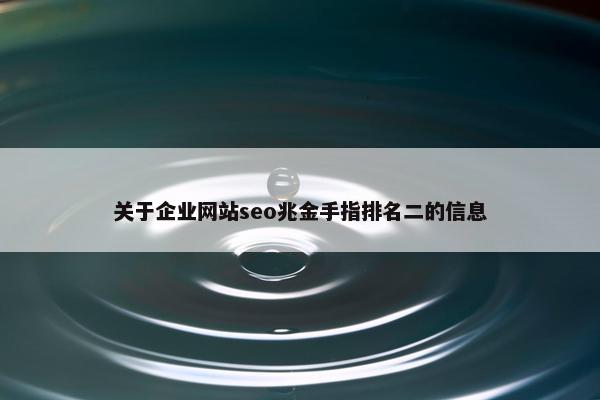关于企业网站seo兆金手指排名二的信息