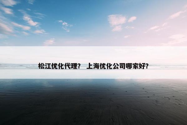 松江优化代理？ 上海优化公司哪家好？