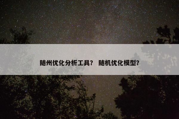 随州优化分析工具？ 随机优化模型？