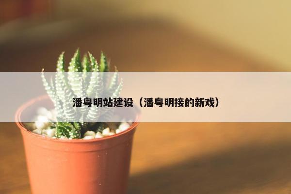 潘粤明站建设（潘粤明接的新戏）