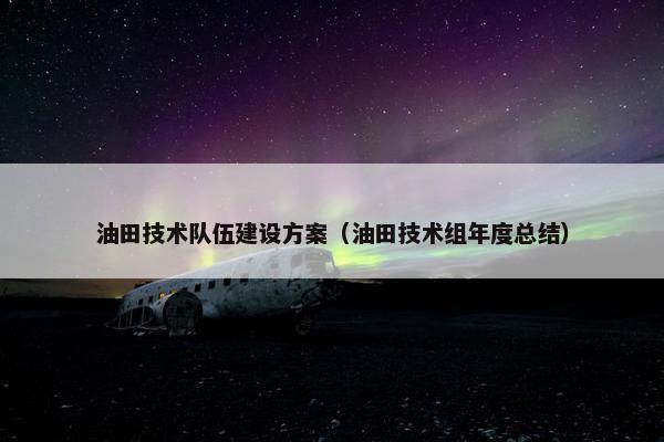油田技术队伍建设方案（油田技术组年度总结）