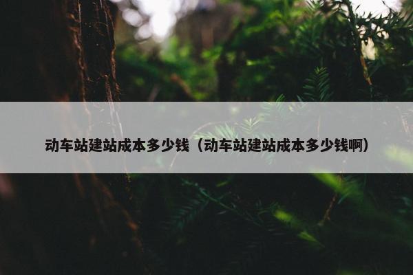 动车站建站成本多少钱（动车站建站成本多少钱啊）