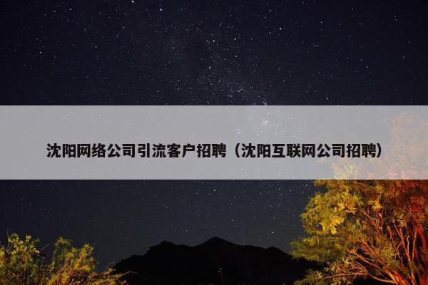 沈阳网络公司引流客户招聘（沈阳互联网公司招聘）