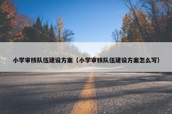 小学审核队伍建设方案（小学审核队伍建设方案怎么写）