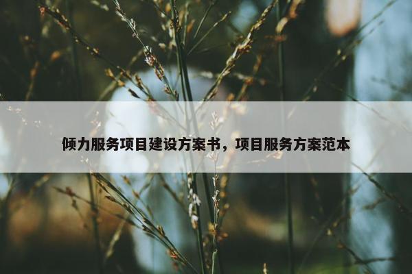 倾力服务项目建设方案书，项目服务方案范本