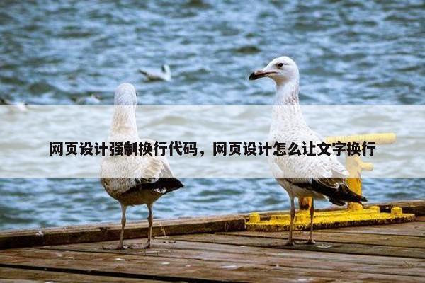网页设计强制换行代码，网页设计怎么让文字换行