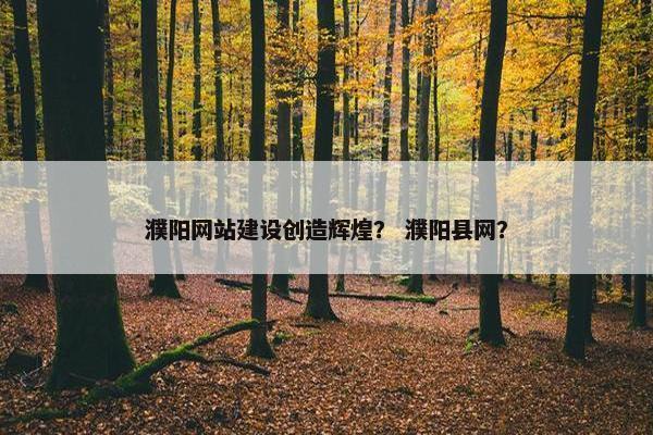 濮阳网站建设创造辉煌？ 濮阳县网？