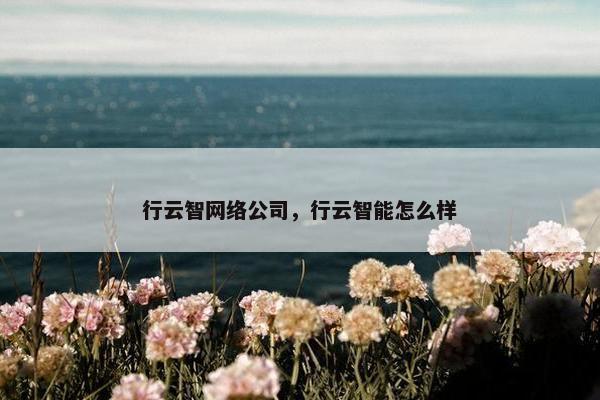 行云智网络公司，行云智能怎么样
