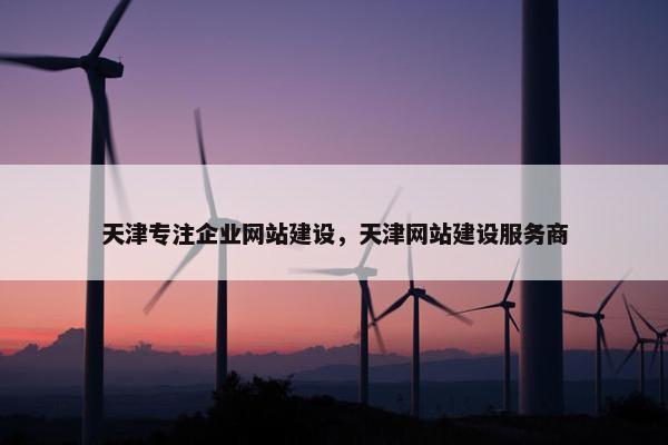 天津专注企业网站建设，天津网站建设服务商