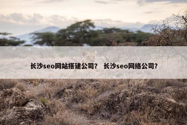 长沙seo网站搭建公司？ 长沙seo网络公司？