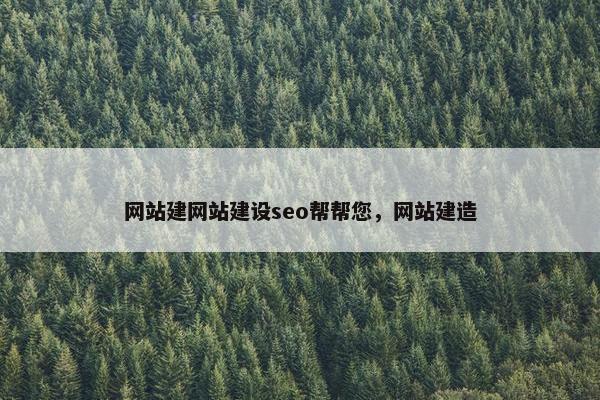 网站建网站建设seo帮帮您，网站建造