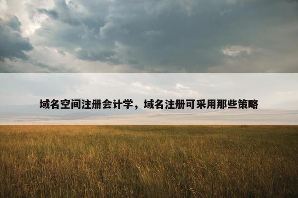 域名空间注册会计学，域名注册可采用那些策略