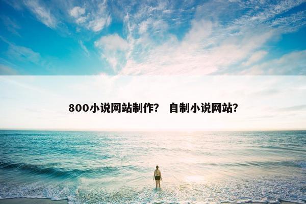 800小说网站制作？ 自制小说网站？