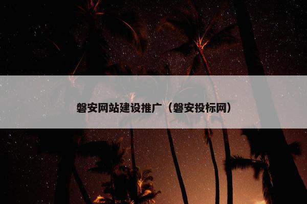 磐安网站建设推广（磐安投标网）