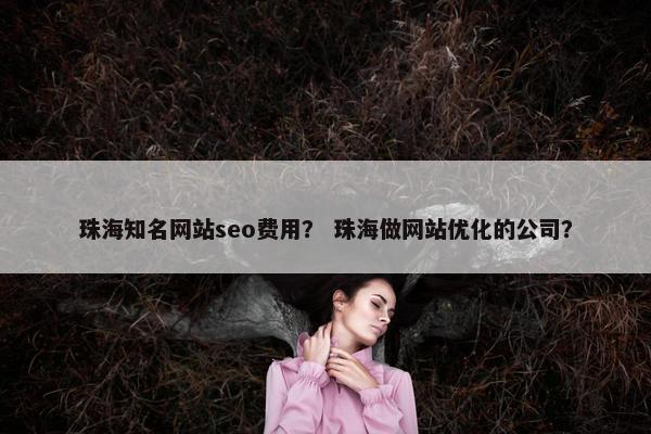 珠海知名网站seo费用？ 珠海做网站优化的公司？