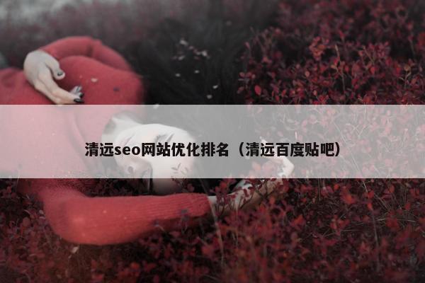 清远seo网站优化排名（清远百度贴吧）