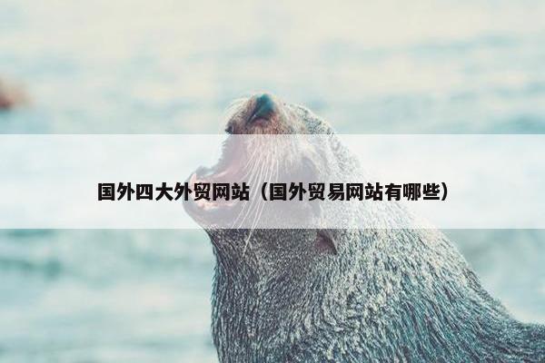 国外四大外贸网站（国外贸易网站有哪些）
