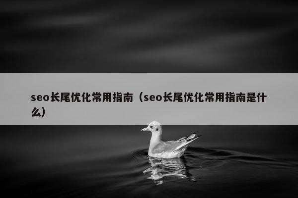 seo长尾优化常用指南（seo长尾优化常用指南是什么）
