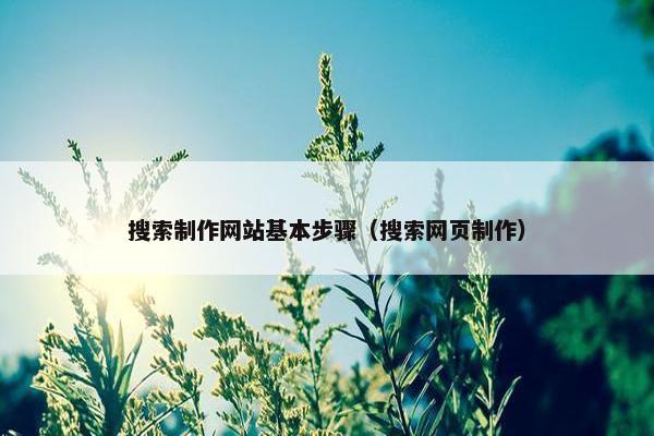 搜索制作网站基本步骤（搜索网页制作）
