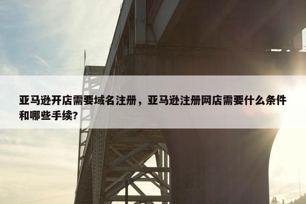 亚马逊开店需要域名注册，亚马逊注册网店需要什么条件和哪些手续?