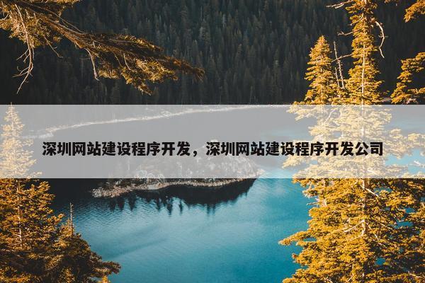 深圳网站建设程序开发，深圳网站建设程序开发公司