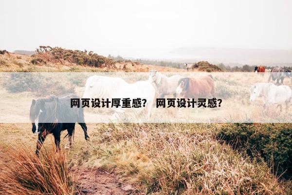 网页设计厚重感？ 网页设计灵感？