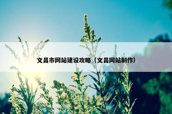 文昌市网站建设攻略（文昌网站制作）