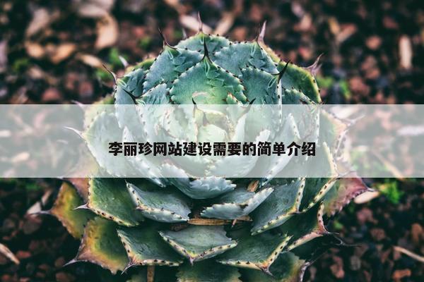 李丽珍网站建设需要的简单介绍