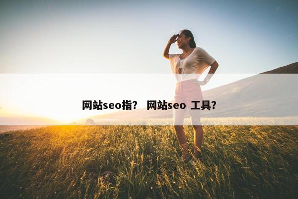 网站seo指？ 网站seo 工具？