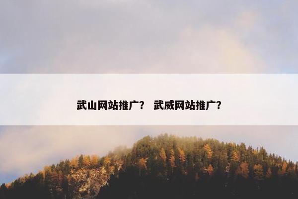 武山网站推广？ 武威网站推广？