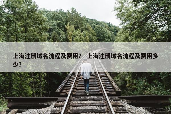 上海注册域名流程及费用？ 上海注册域名流程及费用多少？