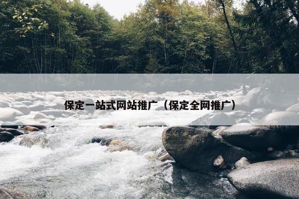 保定一站式网站推广（保定全网推广）
