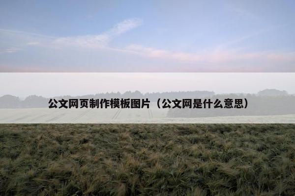 公文网页制作模板图片（公文网是什么意思）