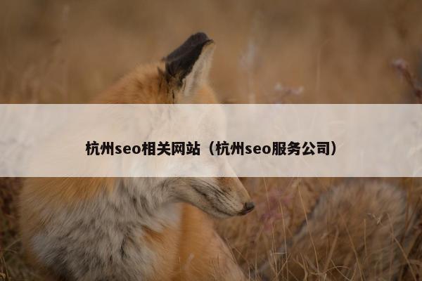 杭州seo相关网站（杭州seo服务公司）