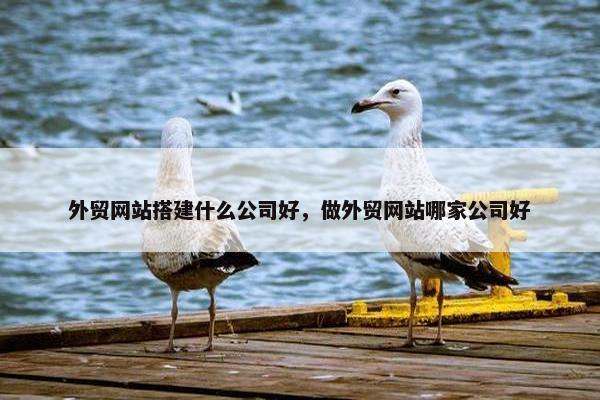 外贸网站搭建什么公司好，做外贸网站哪家公司好