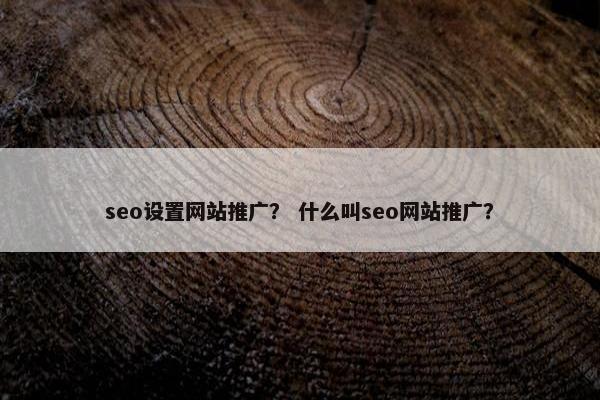seo设置网站推广？ 什么叫seo网站推广？