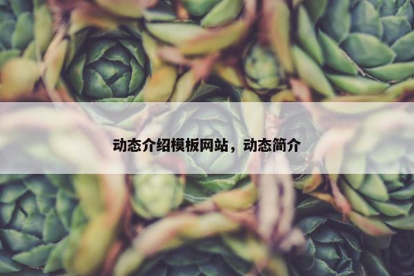 动态介绍模板网站，动态简介