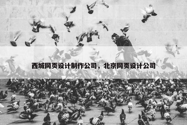 西城网页设计制作公司，北京网页设计公司