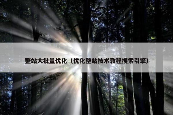 整站大批量优化（优化整站技术教程搜索引擎）
