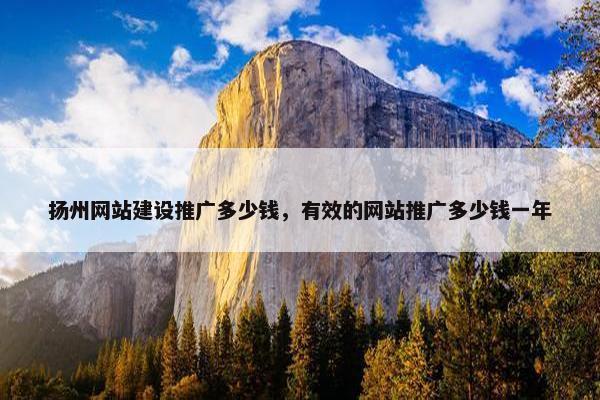 扬州网站建设推广多少钱，有效的网站推广多少钱一年